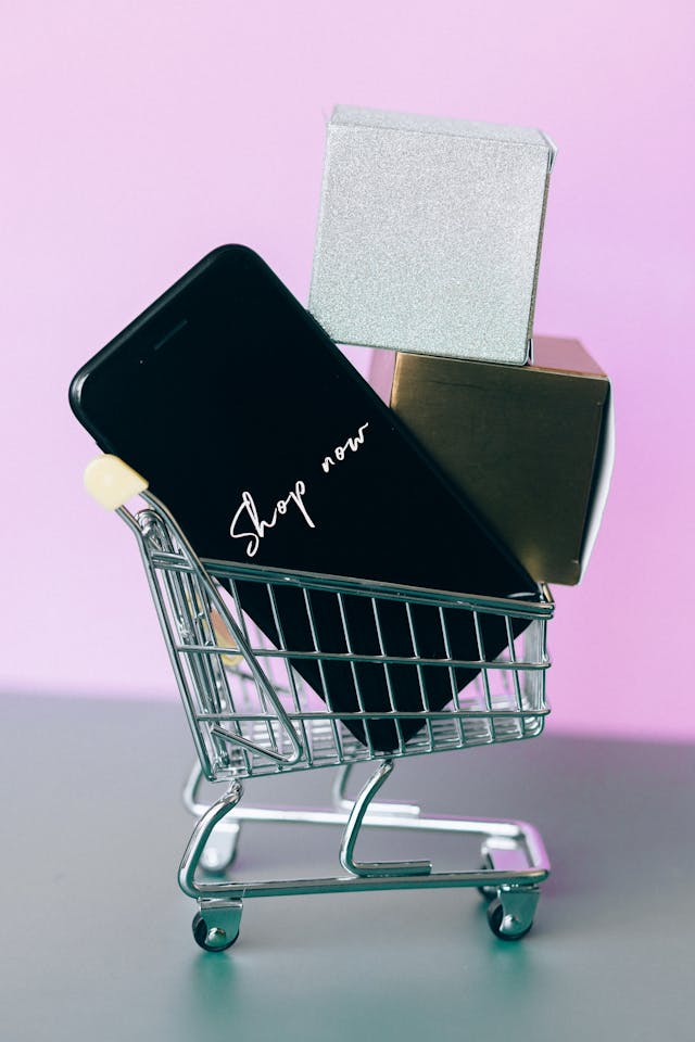 ecommerce ecommerce
