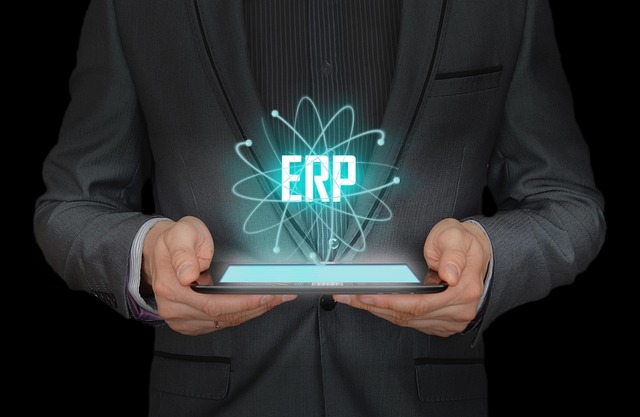 erp-software erp-software